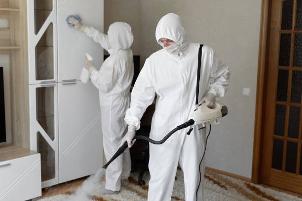 Mold Removal Process in Kendallville, IN